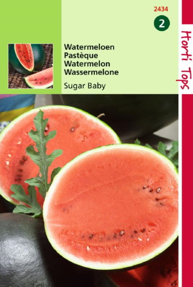 Watermeloen Sugar Baby (Citrullus lanatus) 50 zaden HT